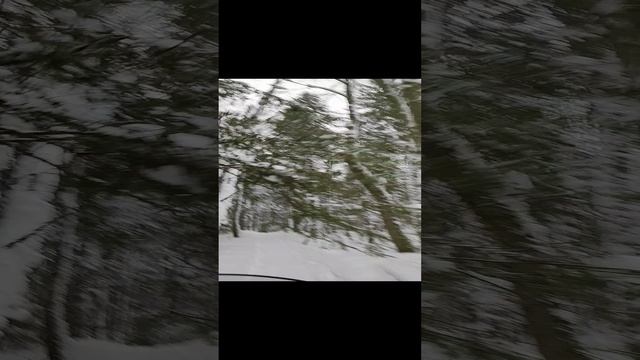 10611.mp4 смотреть онлайн