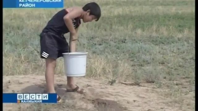 Суслик - предвестник весны! смотреть онлайн