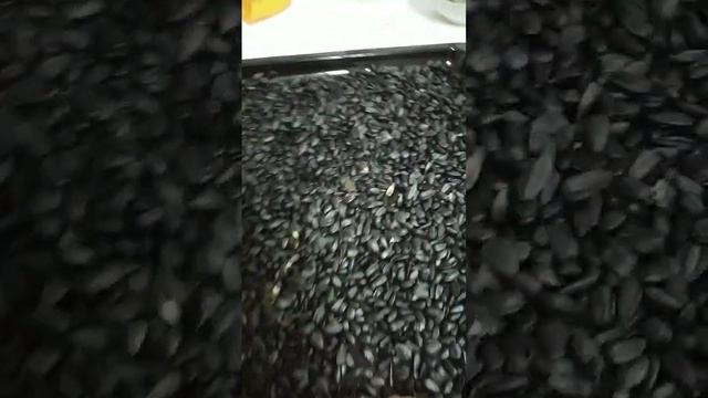 жарю семечки смотреть онлайн