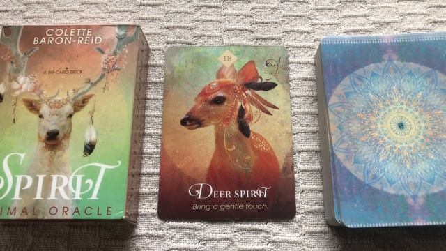 The Spirit Animal Oracle 18/68 Deer guide book audio description смотреть онлайн