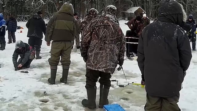 ВЕСЁЛАЯ ФОРЕЛЕВАЯ РЫБАЛКА смотреть онлайн