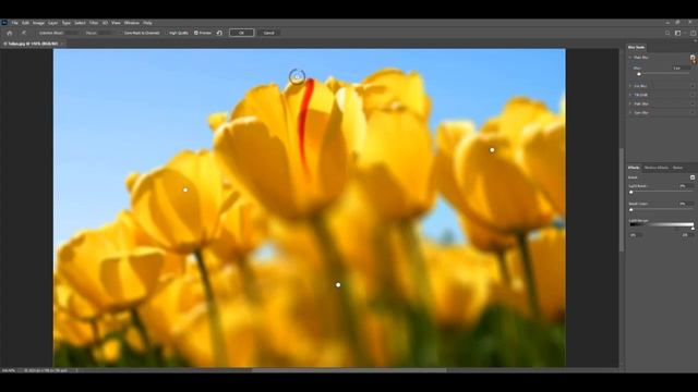 Photoshop Enhanced Blur with Blur Gallery смотреть онлайн