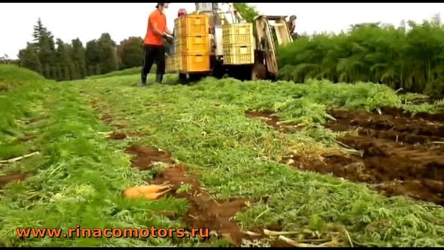 Yanmar HN2 - видео. Комбайн для уборки моркови! смотреть онлайн