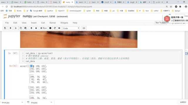 千锋Python教程：007 numpy随机创建函数切片操作级联&reshape смотреть онлайн