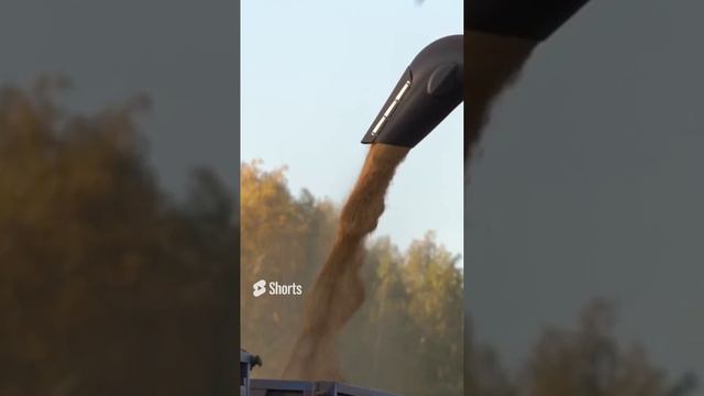 Красота работы в поле смотреть онлайн