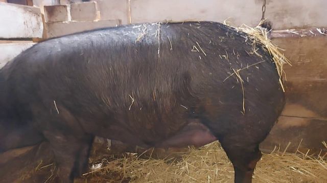 мне всё это - нравится ))) смотреть онлайн