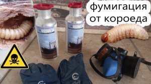 Фумигацию от короеда и всех остальных вредителей