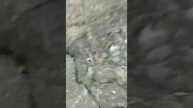 беда , не приходит одна ...за ,то все живы !!!!!спс Богу!!! смотреть онлайн