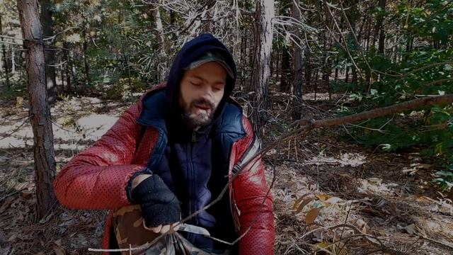 Собираем опята осенние (Armillaria mellea) в октябре 2021 (Как и где искать!) смотреть онлайн