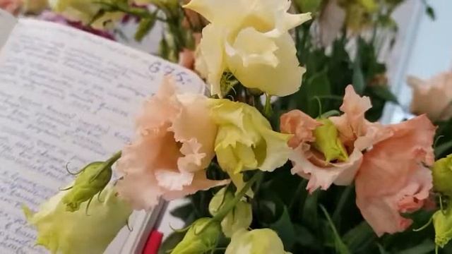на свадьбу - zur Hochzeit - христианские стихи Mamas Gedicht 83 смотреть онлайн