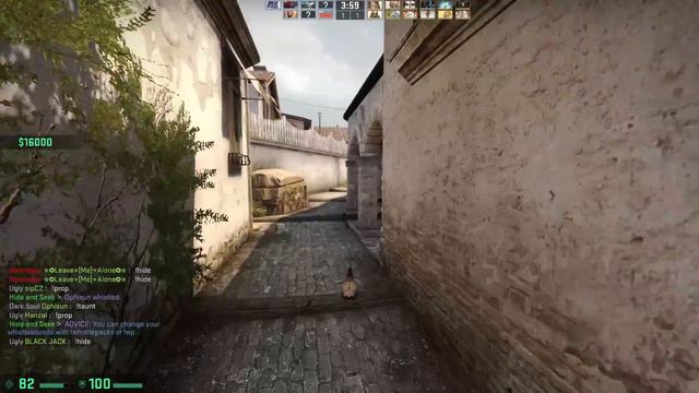 БЕШЕНЫЕ ПРЯТКИ КУРОЧЕК В CS:GO ( УГАР ) смотреть онлайн