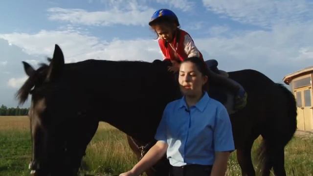 Почему взрослому человеку сложнее подружиться с лошадью смотреть онлайн