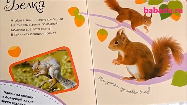 Лесные животные Наши голоса Росмэн (Rosman) смотреть онлайн