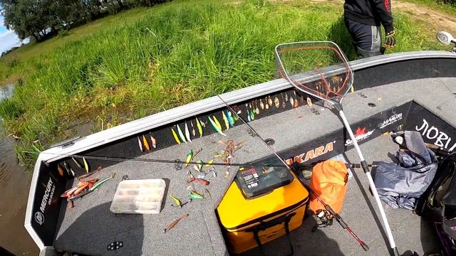 Рыбалка на Припяти осенью 2021/ Блесны незацепляйки / Осенний жерех смотреть онлайн