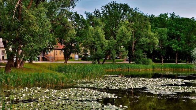 В царстве белых лилий. смотреть онлайн