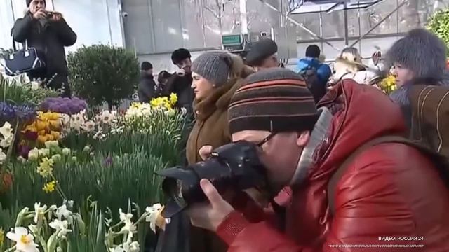 В «Аптекарском огороде» пройдет крупнейшая в России выставка тюльпанов смотреть онлайн