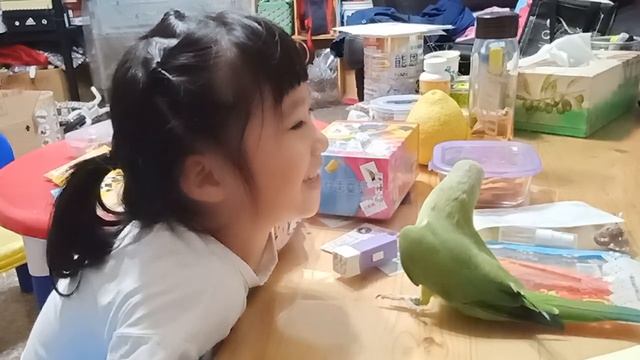 Попугай целуется с девочкой смотреть онлайн