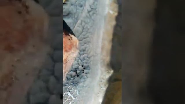 отзыв пленка для пруда винилит от производителя geo-plenka.ru, что случилось с пленкой за 1,5 года смотреть онлайн