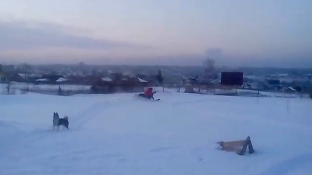 Dingo T150 даём угла. смотреть онлайн