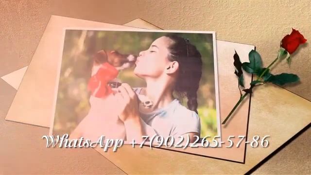 Пожелания на день рождения 50 лет жене из фотографий и музыки смотреть онлайн