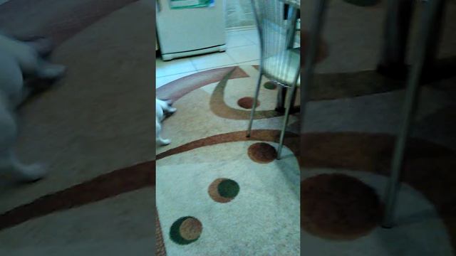 Дина после мытья смотреть онлайн