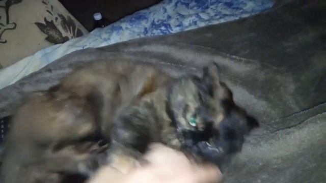 Как Сделать Мастерскими Руками