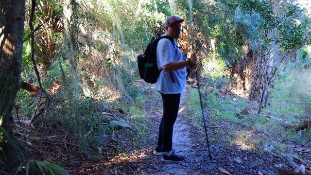 Хайкинг по джунглям Флориды в поисках аллигаторов | Путешествие по восточному побережью США смотреть онлайн