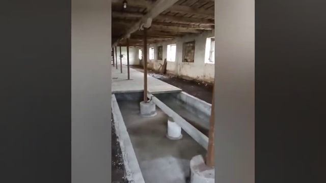 Укладка щелевого пола. Экскурсия по ферме. смотреть онлайн