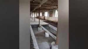 Укладка щелевого пола. Экскурсия по ферме.