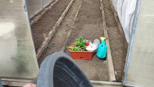 ОБЗОР ?МУЖ СДЕЛАЛ ГРЯДЫ ИЗ ДОСОК??ДЕЛА ОГОРОДНЫЕ смотреть онлайн