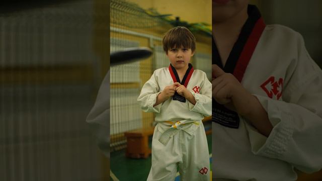 Taekwondo life #taekwondo #тхэквондо #дети смотреть онлайн