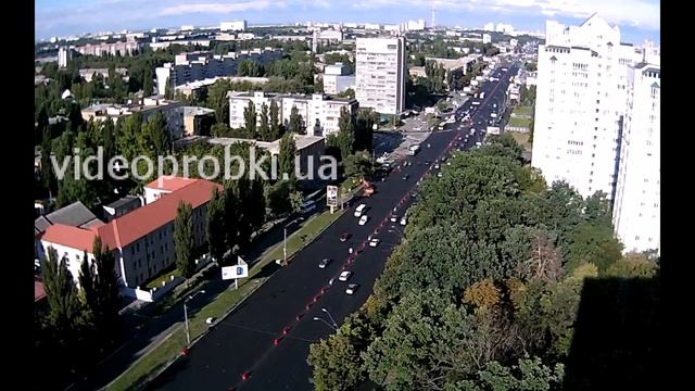 Daewoo смотреть онлайн