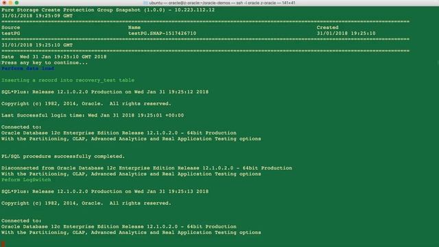 Oracle 12c Database Reset Demo смотреть онлайн