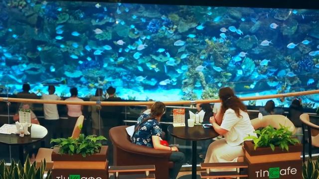 ТРЦ Ocean Plaza путешествие по торговому центру смотреть онлайн