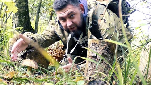 НАЙТИ ГРИБЫ ВО ЧТО БЫ ТО НЕ СТАЛО!!! ГРИБЫ ПОДМОСКОВЬЯ В КОНЦЕ СЕНТЯБРЯ смотреть онлайн
