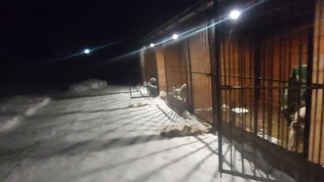 Бросил всё, уехал ночью смотреть онлайн