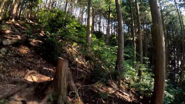 Горная прогулка в день летнего солнцестояния ② смотреть онлайн