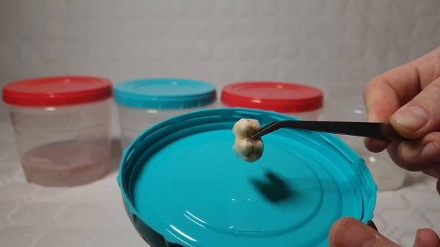 Эксперимент отбеливание зубов в домашних условиях. смотреть онлайн