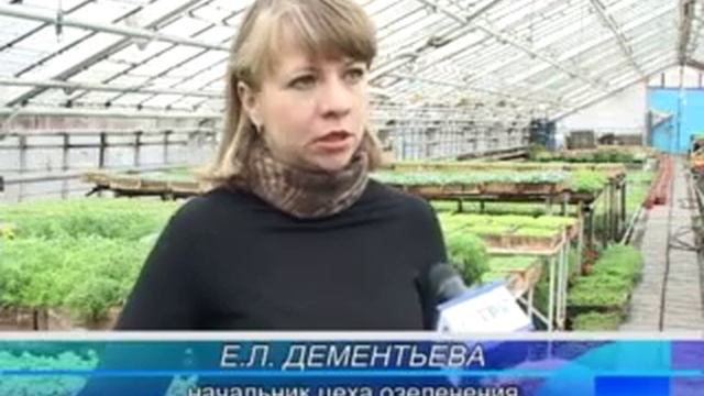 Теплицы смотреть онлайн