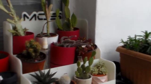 Sarı kız terasta ve uzaklar . Samsung HMX-F90 52x optik test смотреть онлайн