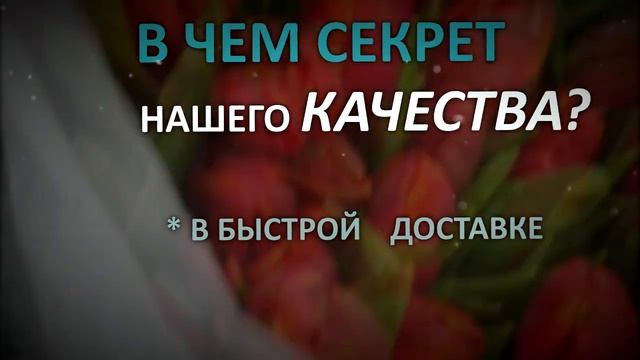 Тюльпаны оптом - Хозяйство Тюльпан ТД "Асабин" — Миасс - Челябинск - Уфа - Екатеринбург смотреть онлайн