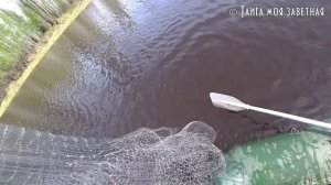 Рыбалка с кастинговой сетью. С дядей Толей и не только