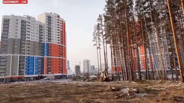 Как Это было 20.01.2022. В Академическом начали вырубать лес ради нового жилого комплекса. смотреть онлайн