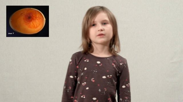 ПОЧЕМУ ЦЫПЛЕНОК СИЛЬНЕЕ ЖЕНЩИНЫ?!? смотреть онлайн
