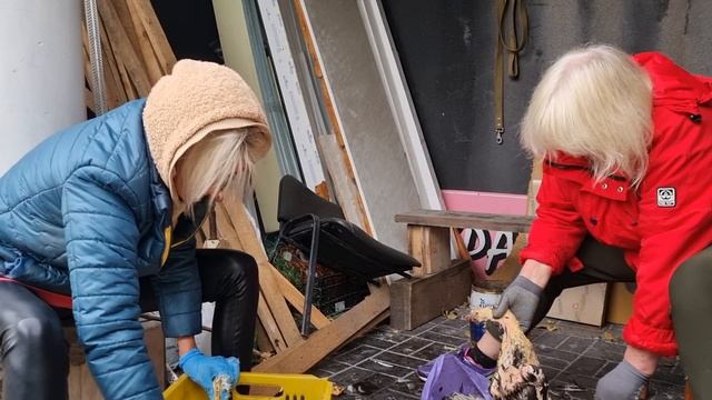 МАМА ПРИЕХАЛА НА ПОМОЩЬ, УТИНЫЙ ДЕНЬ, МАМИНЫ ИСТОРИИ, ВЛОГ