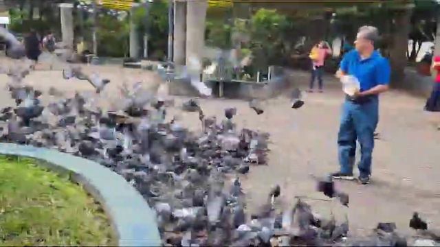 # ciudad de Claudia Lars смотреть онлайн