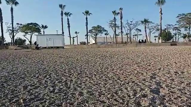 ПРОГУЛКА ПО НАБЕРЕЖНОЙ КОНЬЯЛЬТЫ АНТАЛИЯ ТУРЦИЯ СЕГОДНЯ 23.11.2020!ТЕМПЕРАТУРА ВОЗДУХА 20 ГРАДУСОВ смотреть онлайн