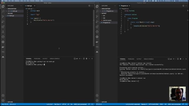 01 Golang for C# Developers - Introduction смотреть онлайн