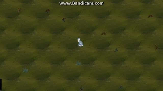 Catwar - охота на деревенских мышей и улиток (Первое видео на канале!). смотреть онлайн