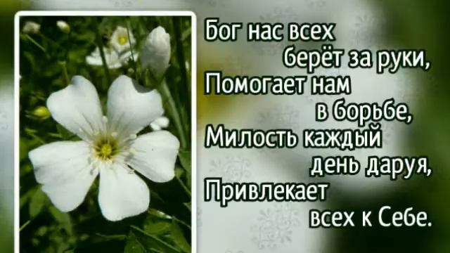 Гимны надежды 92 Радость и благодаренье (-) смотреть онлайн